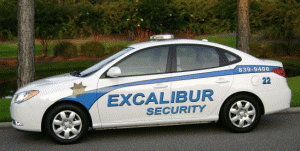 EXCALIBUR-CAR22